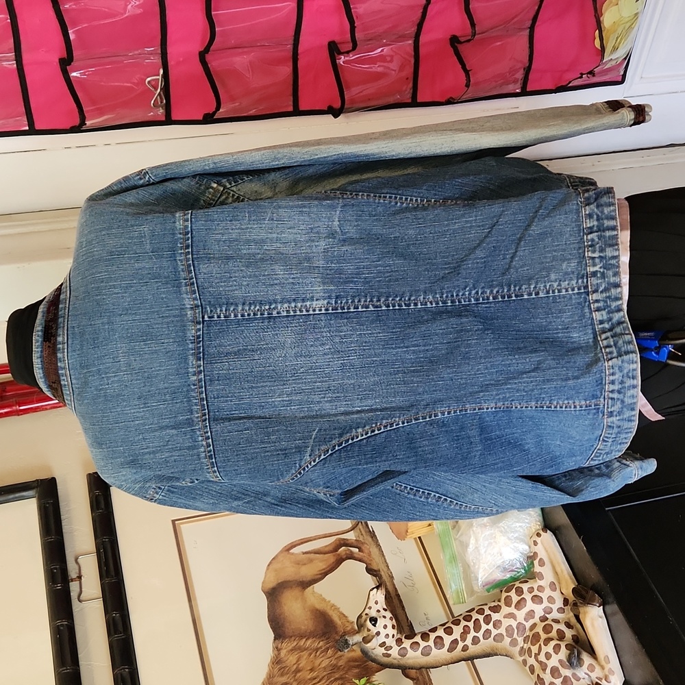 Venezia Embellished Jean Jacket - Picture 5 of 6